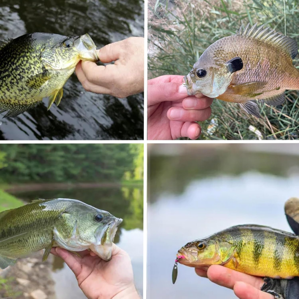 Fish Corner Crappie Jig Head Fishing Lure w/ 3D Eyes & Underspin Willow Blade | 1/32oz | 10 Pack | Green-Blue