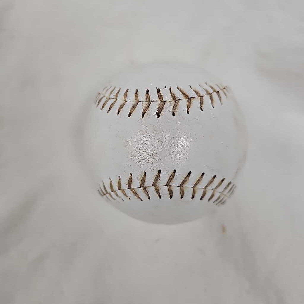 Practice Softball