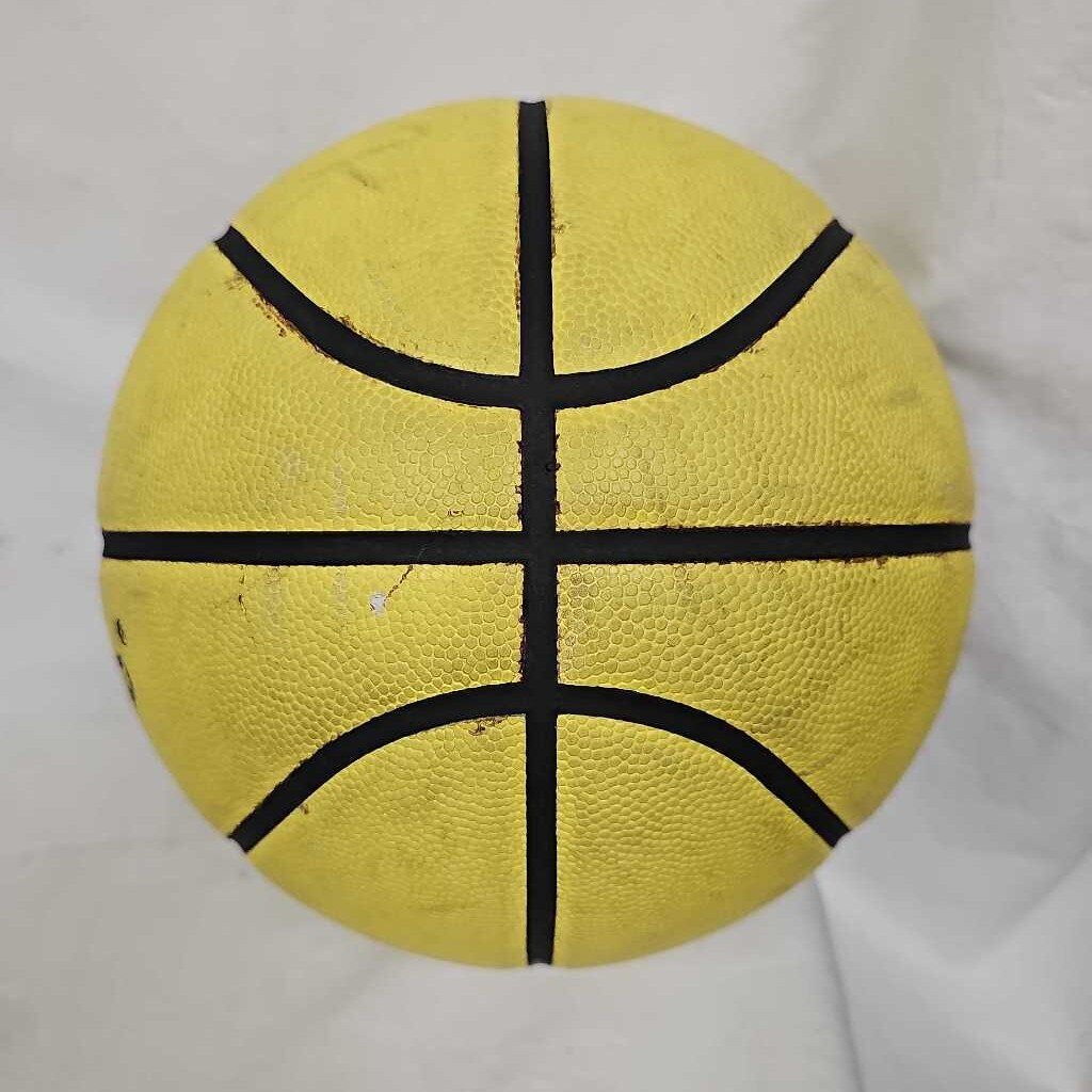 DribbleUp Smart Basketball, 29.5"
