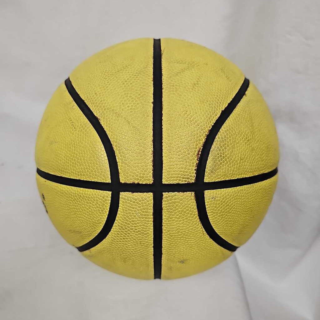 DribbleUp Smart Basketball, 29.5"