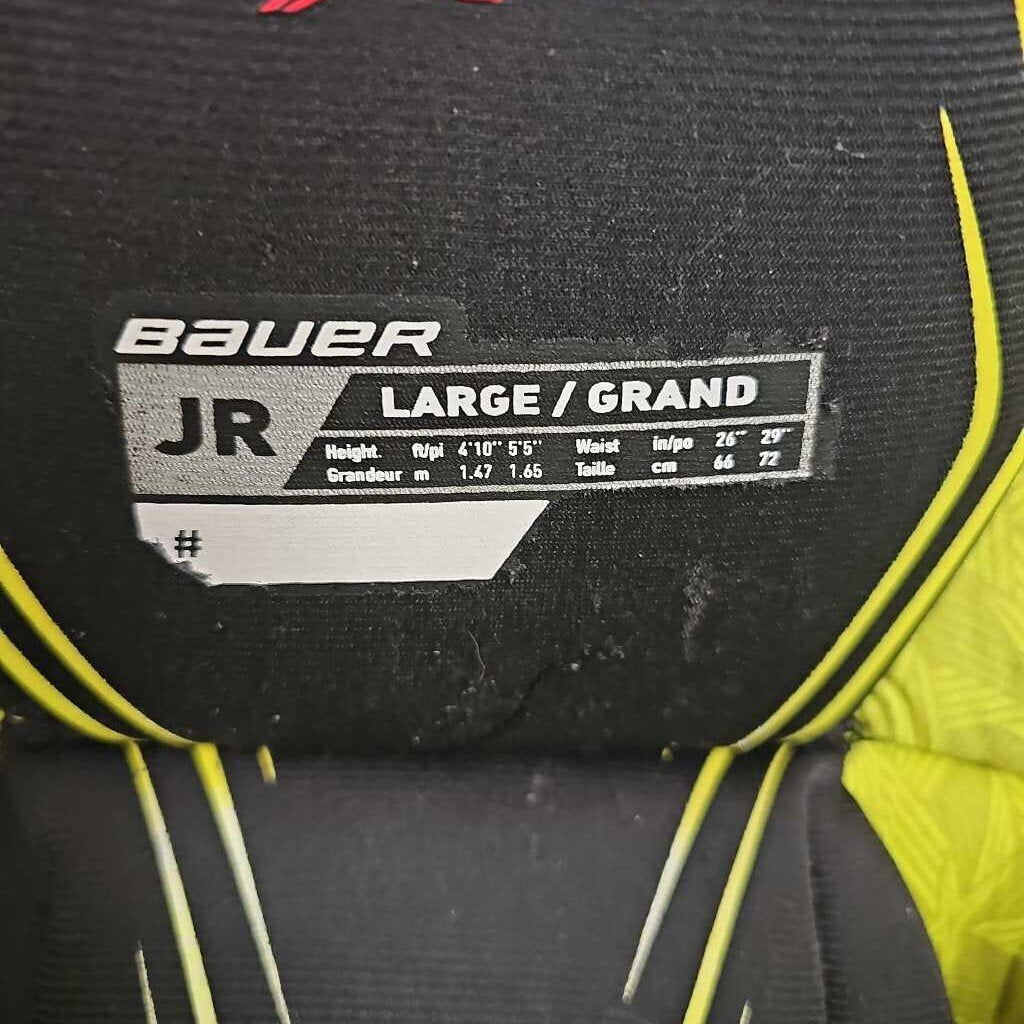 Bauer Vapor X2.9 Hockey Pants Junior Large