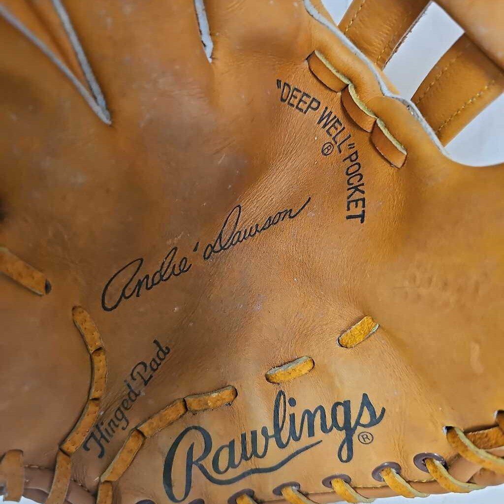 Rawlings Andre Dawson Autograph Model Baseball Glove, Left Hand Throw