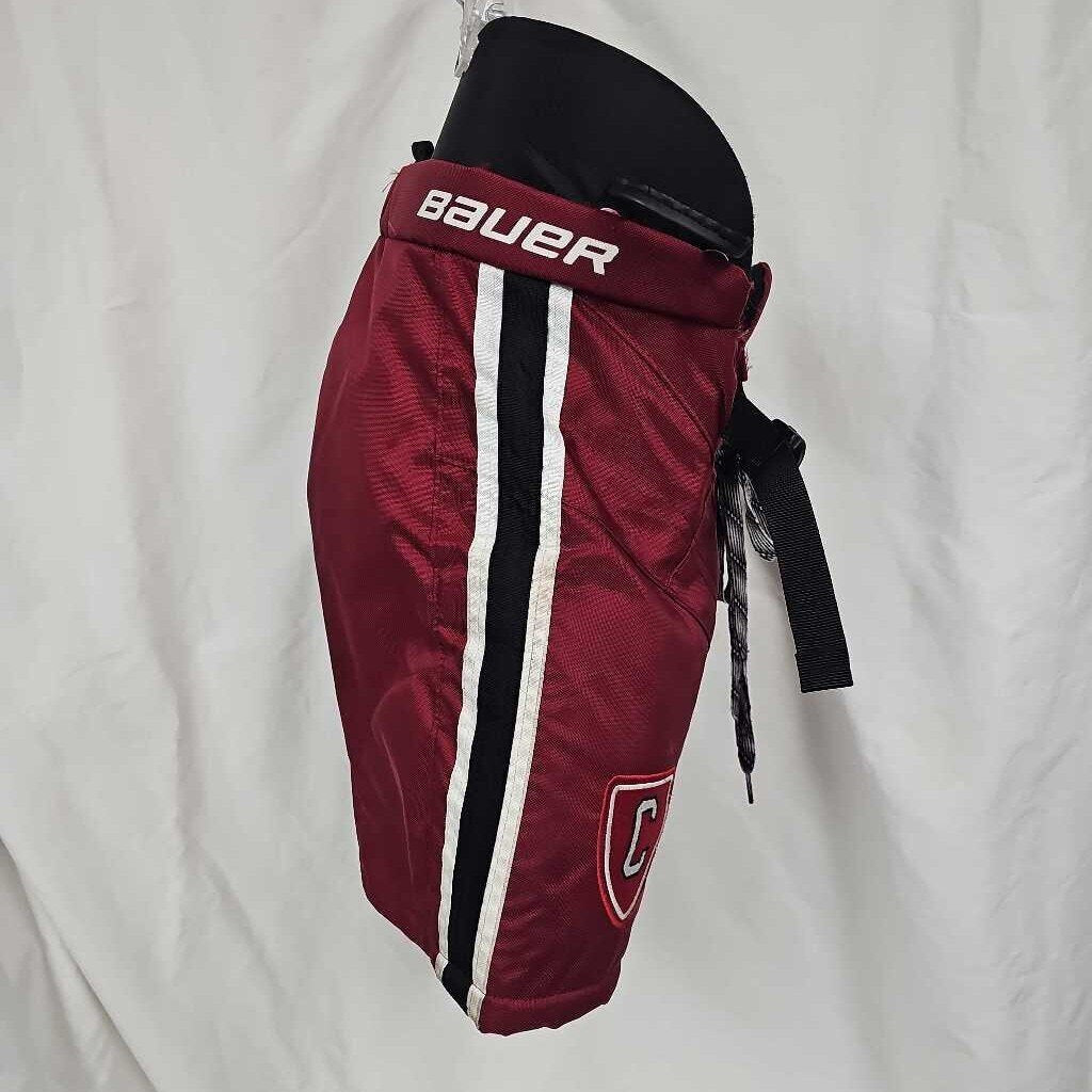 Bauer Team Youth Hockey Pants, Size Large