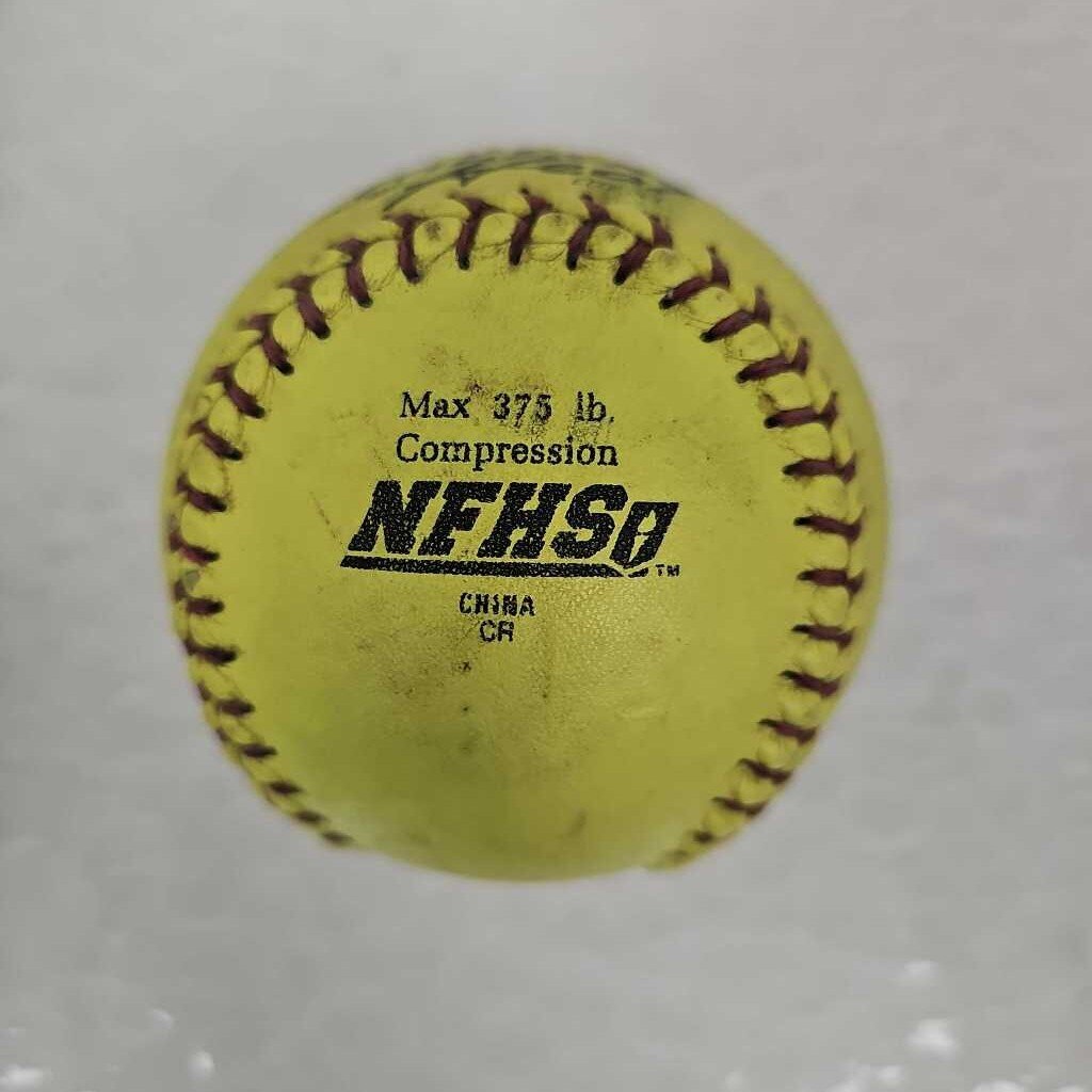 Dudley Thunder Heat Softball, 12"