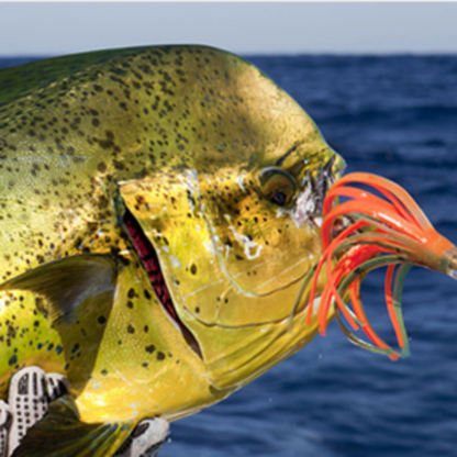 VATEICO Squid Trolling Lure | 5 Pack | 9 Inch | Multiple Colors | Stainless Steel