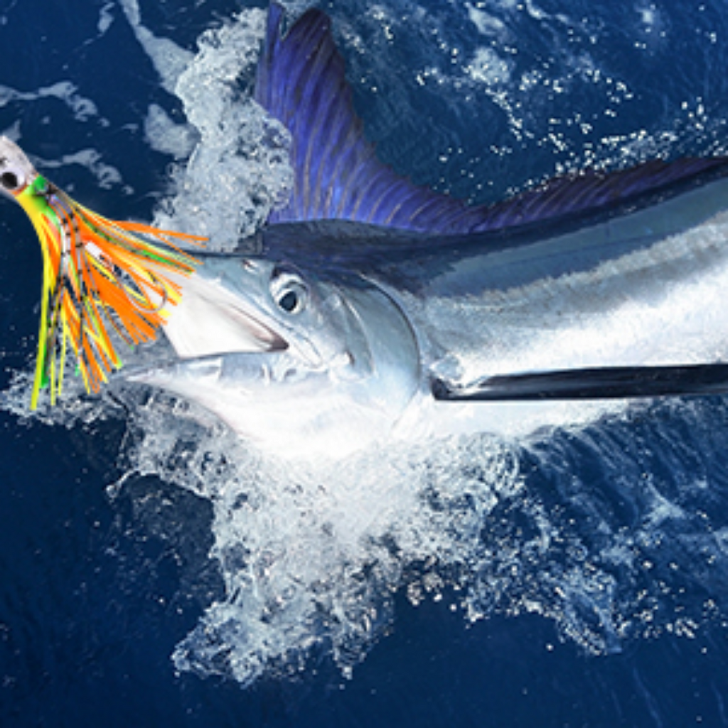 VATEICO Squid Trolling Lure | 5 Pack | 9 Inch | Multiple Colors | Stainless Steel