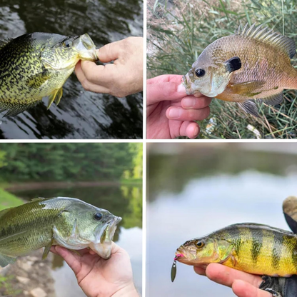 Fish Corner Crappie Jig Head Fishing Lure w/ 3D Eyes & Underspin Willow Blade | 1/16oz | 10 Pack | Black-Red