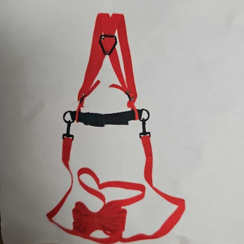 Kids Ski Harness Trainer, 16' Lead, Size: Kids