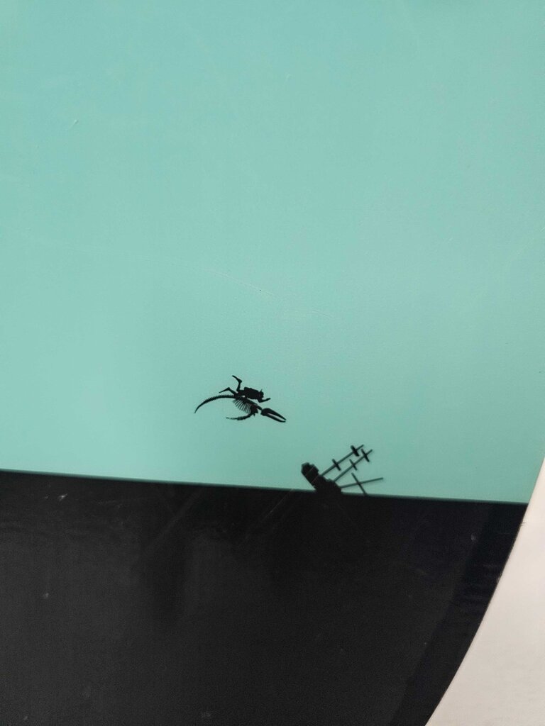 Burton Custom Smalls Snowbord, 125cm