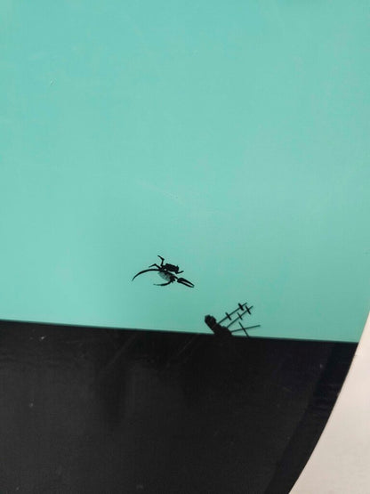 Burton Custom Smalls Snowbord, 125cm