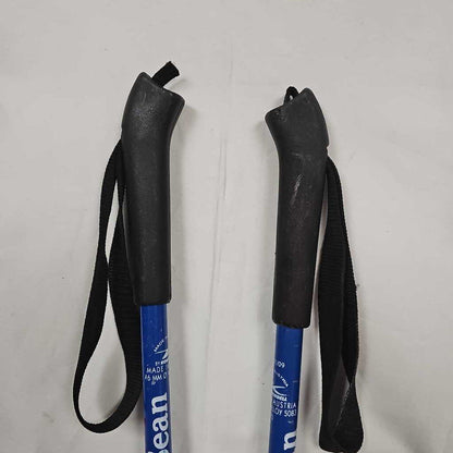 L.L. Bean Snowflake Kids Ski Poles