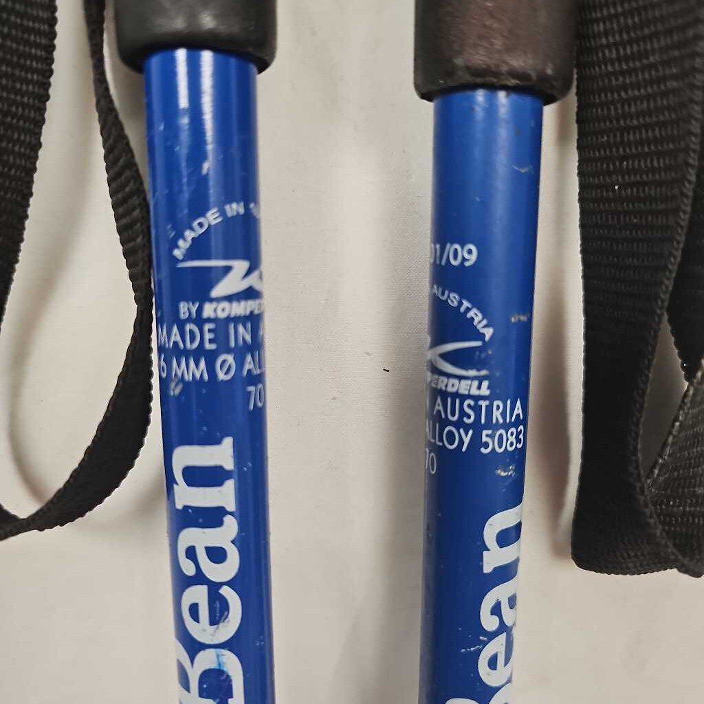 L.L. Bean Snowflake Kids Ski Poles