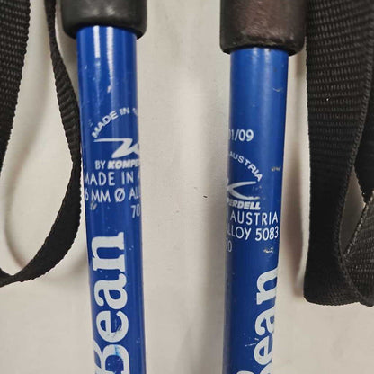 L.L. Bean Snowflake Kids Ski Poles