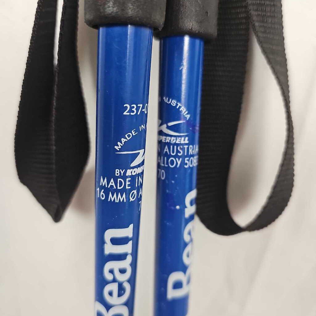 L.L. Bean Snowflake Kids Ski Poles