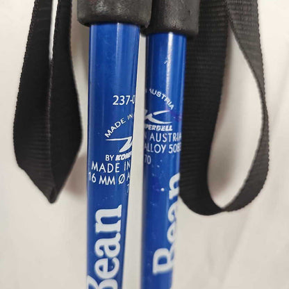 L.L. Bean Snowflake Kids Ski Poles