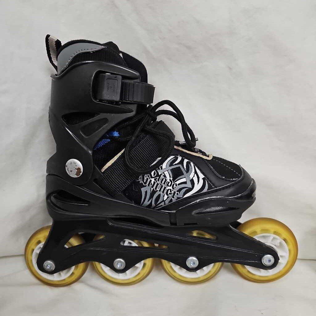 Bladerunner Phoenix Youth Inline Skates, Sizes Y11-1