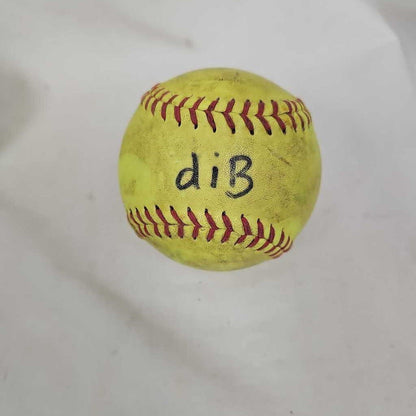 Baden Lexum Leather Softball, 11"