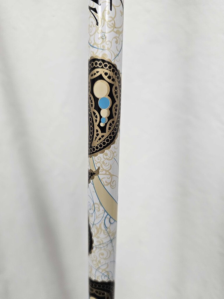 Dynastar Exclusive Sensation Ski Poles, 46"