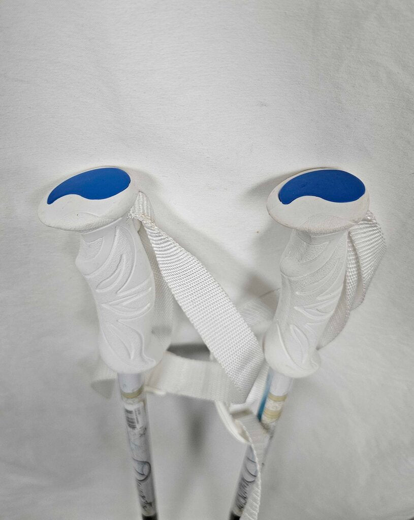 Dynastar Exclusive Sensation Ski Poles, 46"