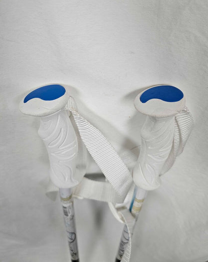 Dynastar Exclusive Sensation Ski Poles, 46"