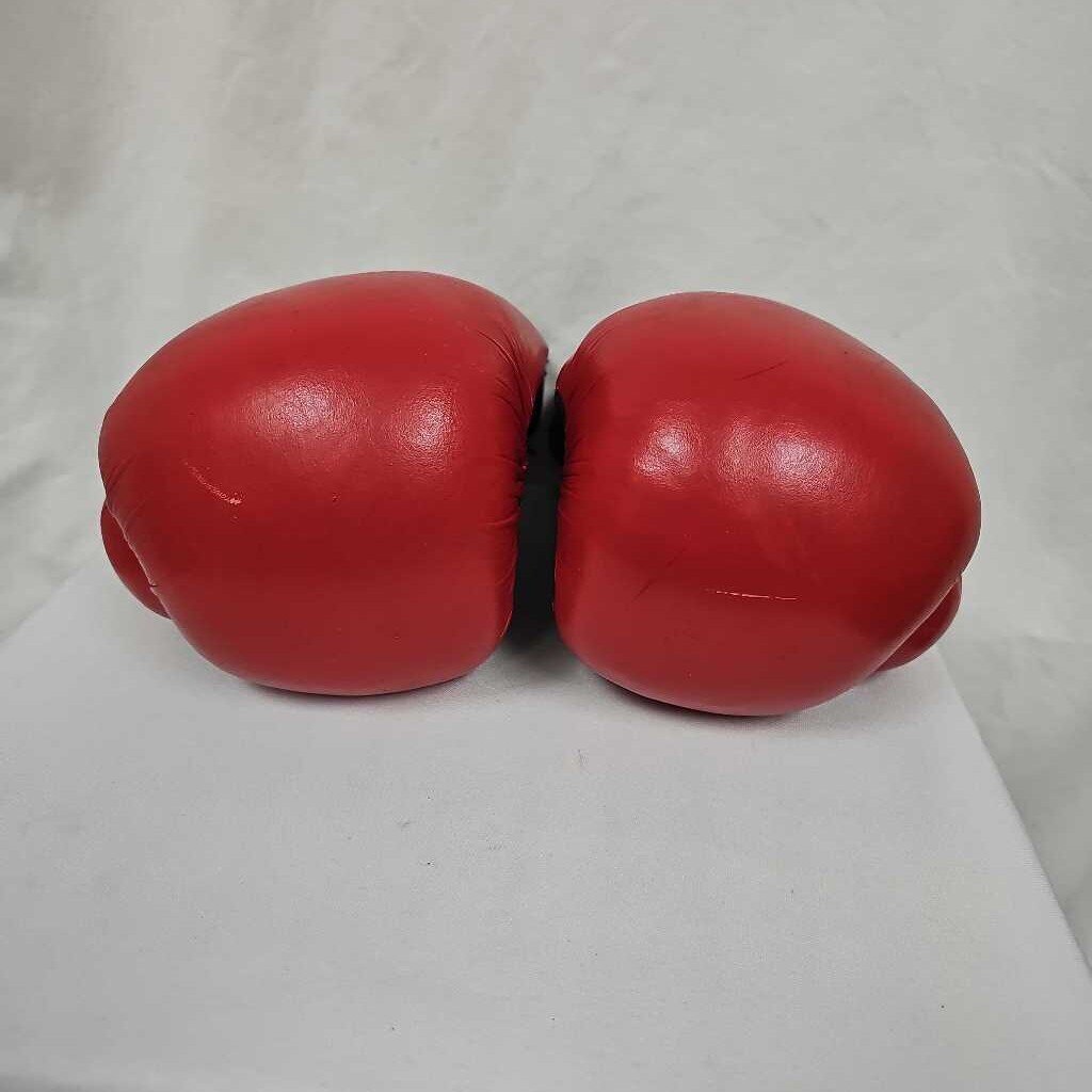 Everlast 2080 Gloves