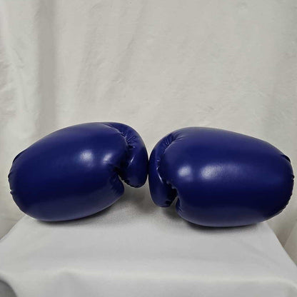 FBT Pro Boxing Gloves - 14oz